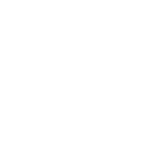 beers